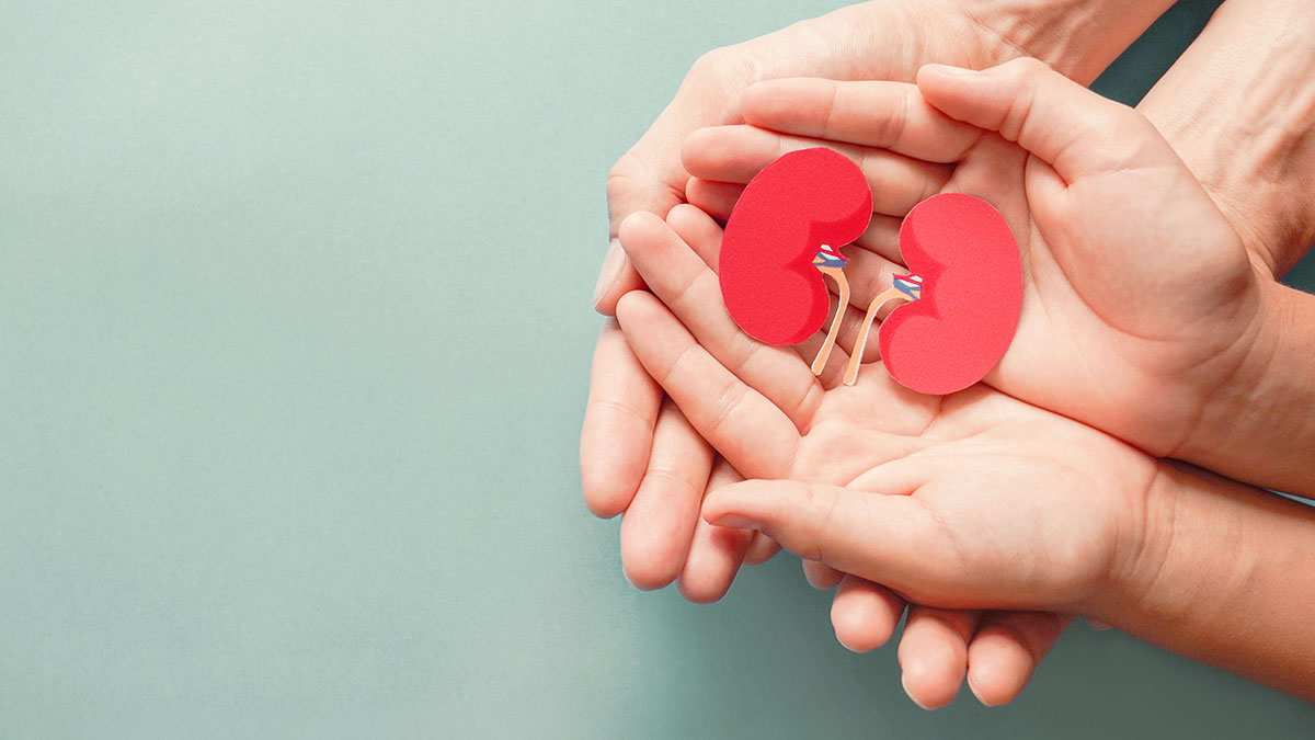 RENAL TUMOR: prevention, diagnosis, and treatment. 